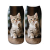 Chaussettes Décontractées À Imprimé Animal