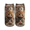 Chaussettes Décontractées À Imprimé Animal