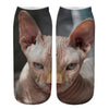 Chaussettes Créatives À Imprimé Chat