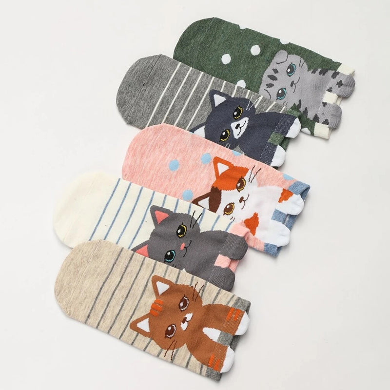 Pack De 5 Paires De Chaussettes Motif Chat