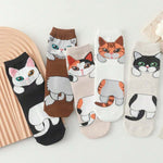 Lot De 5 Paires De Chaussettes De Dessin Animé