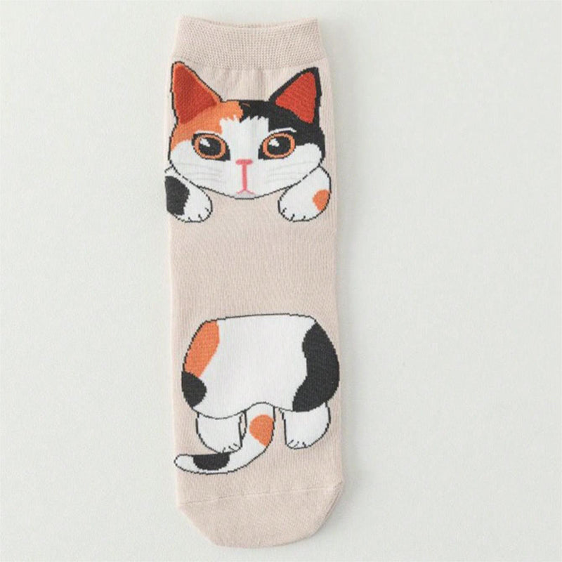 Lot De 5 Paires De Chaussettes De Dessin Animé