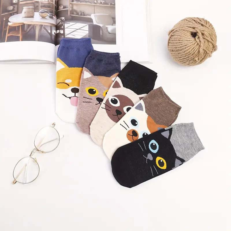 Lot De 5 Paires De Chaussettes De Dessin Animé