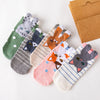 Pack De 5 Paires De Chaussettes Motif Chat