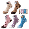 Lot De 5 Paires De Chaussettes De Dessin Animé