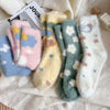 Chaussettes Chaudes En Peluche