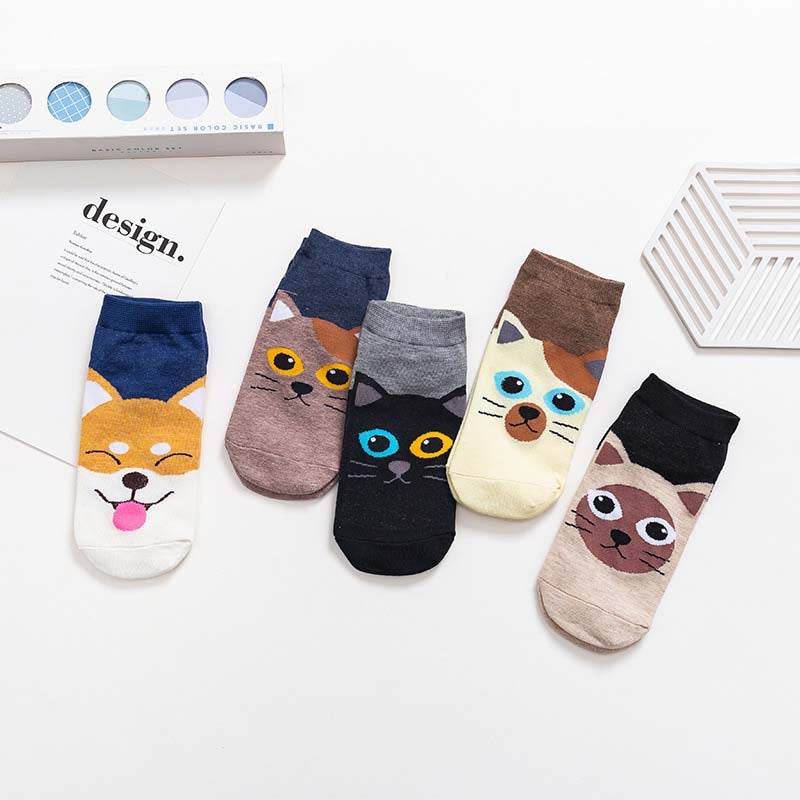 Lot De 5 Paires De Chaussettes De Dessin Animé