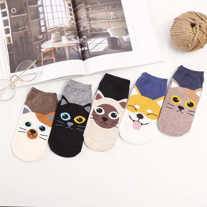 Lot De 5 Paires De Chaussettes De Dessin Animé