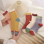 Lot De 5 Paires De Chaussettes Décontractées